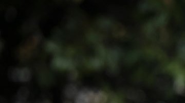 Joe Biden recorre las zonas devastadas por tormentas en California