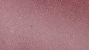 Fanáticos de Kansas City Chief durante los playoff.