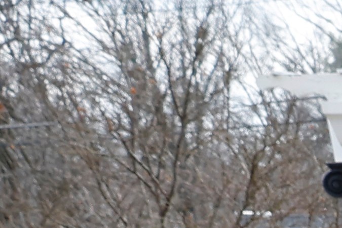 MEMPHIS, TENNESSEE - JANUARY 22: Fans visit the grave of Lisa Marie Presley during her memorial on January 22, 2023 in Memphis, Tennessee. Presley, 54, the only child of American singer Elvis Presley, died January 12, 2023 in Los Angeles. (Photo by Jason Kempin/Getty Images)