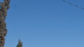 Policía de Chihuahua