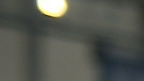 En los últimos días, han estadoe n boca del mundo entero