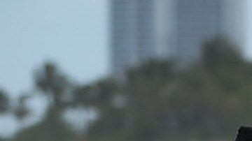 Curiosos rodean un bote usado por inmigrantes cubanos para llegar a las costas de Florida, en una foto de archivo.