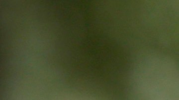 Nueva York prohibió portar armas en lugares públicos.