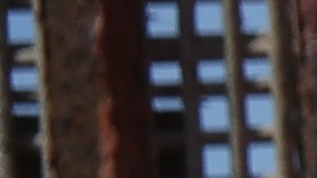 El Parque de la Amistad era el único lugar en la frontera donde las familias podían hablar a través de la barrera.