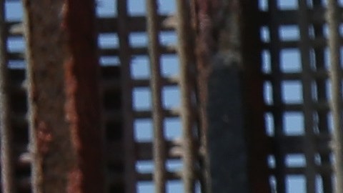 El Parque de la Amistad era el único lugar en la frontera donde las familias podían hablar a través de la barrera.
