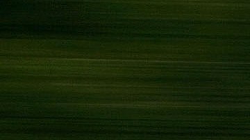 LA CANADA, CA - JUNE 21: Motorcyclists speed past roadside flowers as a heavy wildflower bloom, the result of last winter's record rainfall, continues on the first day of summer along the Angeles Crest Highway on June 21, 2005 in the Angeles National Forest northwest of La Canada, California. Last winter's rainfall is expected to be remembered as the region's second all-time rainiest season on record, coming to within one inch of being the rainiest. (Photo by David McNew/Getty Images)
