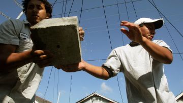 Uno de los sectores donde hay más inmigrantes mexicanos ocupados es el de la construcción.