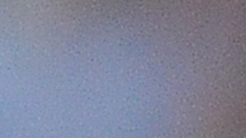 Javier Cortés durante un partido de Pumas UNAM en la Liga MX en 2016.