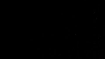 Luchadoras profesionales sobre el cuadrilatero.