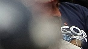 Aficionados disfrutando de un partido de la NFL.