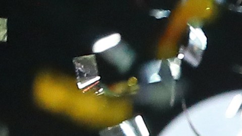 La gestión de Almeyda en Chivas de Guadalajara es muy recordada por sus éxitos.