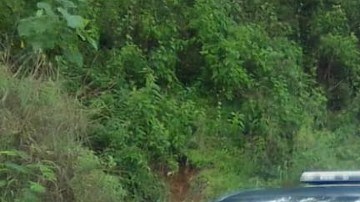 Violencia en Michoacán