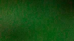 Frederik Oldenburg, presentador de la competencia de Telemundo Exatlón Estados Unidos.