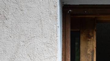 Humanos y simios salvajes comparten un lenguaje común