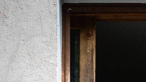 Humanos y simios salvajes comparten un lenguaje común