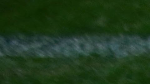 Necaxa mostró las modificaciones a su escudo este 1 de enero.