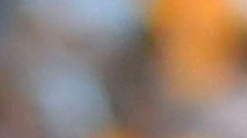 Florian Thauvin salió de Tigres de la UANL por la puerta de atrás.