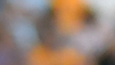 Florian Thauvin salió de Tigres de la UANL por la puerta de atrás.