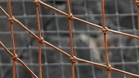 Gil Alcalá, exportero de Pumas UNAM.
