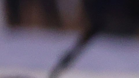 Bruno Valdéz durante el Apertura 2022 de la Liga MX con el Club América.