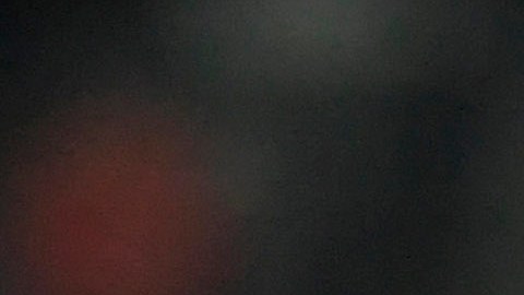 Guillermo Almada, DT campeón del Torneo Apertura 2022 de la Liga MX.