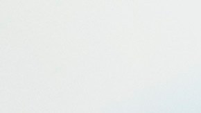 Nicolás Ibáñez levanta el trofeo del Torneo Apertura 2022 que ganó con Pachuca.