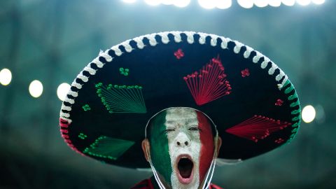 Los aficionados habrían gritado cánticos ofensivos durante la Copa del Mundo.