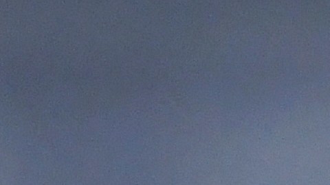 Chivas es uno de los clubes que tiene claro su objetivo para este 2023.