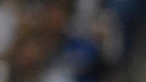 Veljko Paunovic, entrenador de Chivas.