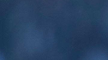 Dani Alves, jugador de Pumas UNAM.