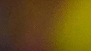 Nicolás Ibáñez festeja gol con Pachuca.