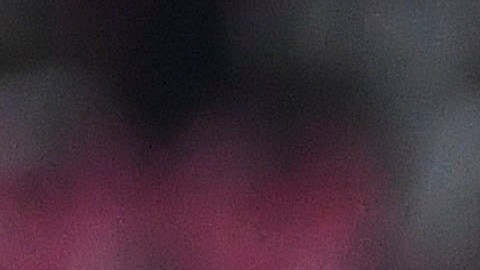 Nahuelpán ya jugó su primer partido con Mazatlán.