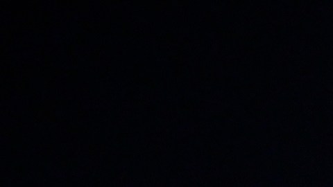 Larcamón rechazó ser entrenador de México.