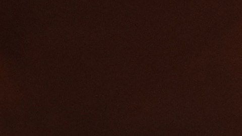 Lainez jugará un año cedido en Tigres.