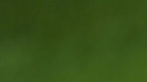 Cartel de la Liga MX en el Nemesio Diez.