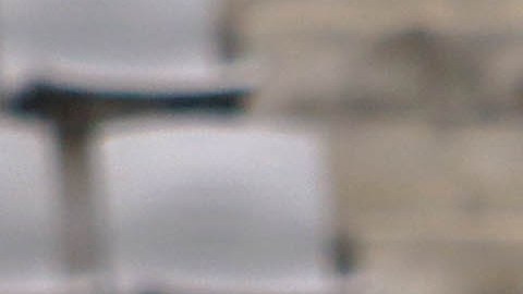 Herrera dirigió a Márquez en la Selección Mexicana.