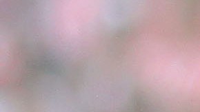 Matías Almeyda, exentrenador de Chivas.