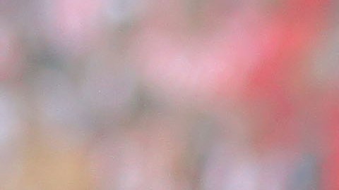 Matías Almeyda, exentrenador de Chivas.