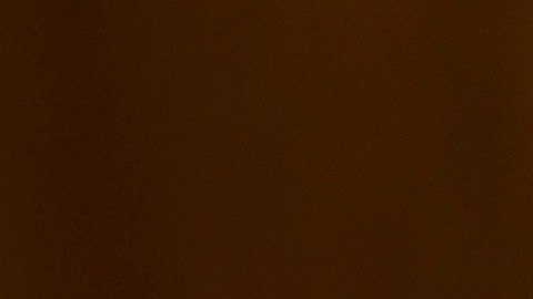 La mayoría de los datos que George Santos exhibe en su hoja de vida carecen de sustento
