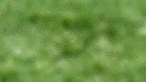 Jürgen Klopp y Mauricio Pochettino se saludan en la final de la Champions de 2019.