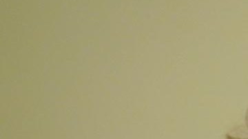 Katie Porter aspira a postularse como candidatura al Senado el próximo año