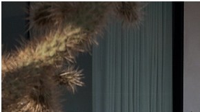 Atento a este análisis completo sobre la Kia Telluride X Pro 2023