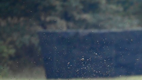 Kiev advierte que seguirán muriendo ucranianos si aliados no envían tanques de guerra