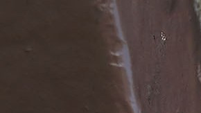 La llamada ‘hormona del amor’ está sobrevalorada