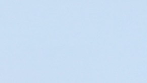 Lionel Scaloni, DT de la Selección Argentina.