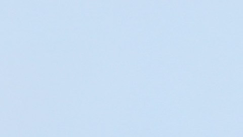 Lionel Scaloni, DT de la Selección Argentina.