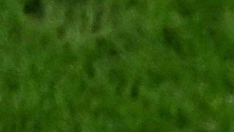 Luis Enrique es el favorito para dirigir a Brasil.