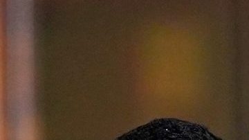 Maluma, Carlos Vives y Zion y Lennox en el Premio Lo Nuestro 2021.