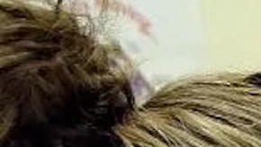 MediCal hace un esfuerzo por cerrar la desigualdad en el cuidado de salud. (Cortesía MediCal)