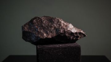 Meteorito que cayó en la Tierra transportaba componentes básicos de la vida